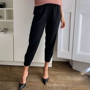 Aritzia Babaton Dexter Pants